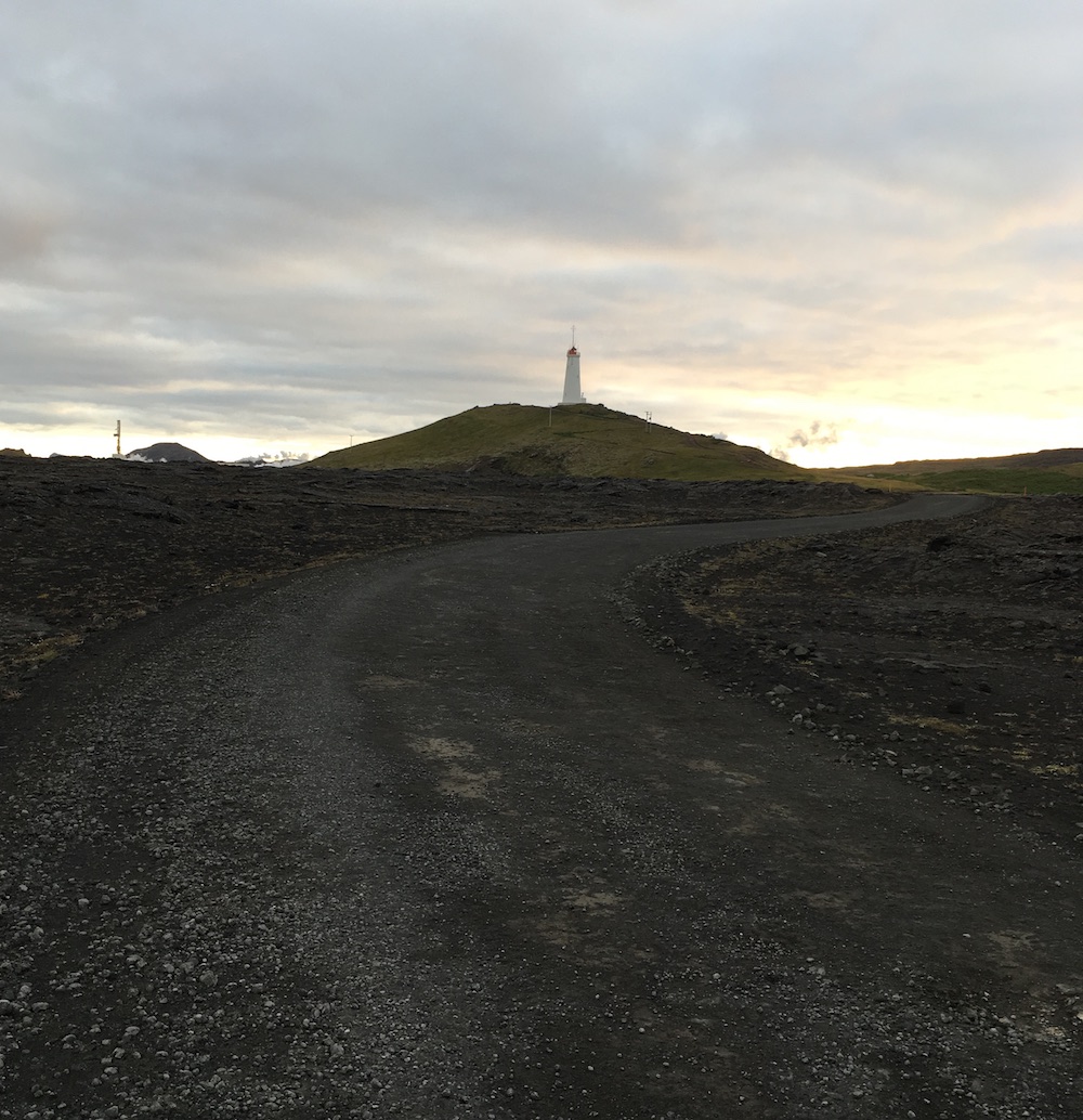 Great Auk Memorial